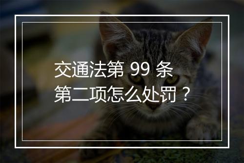 交通法第 99 条第二项怎么处罚？