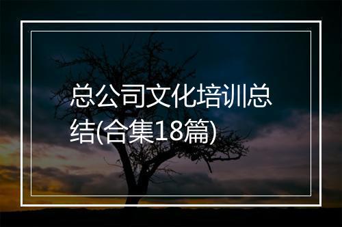 总公司文化培训总结(合集18篇)
