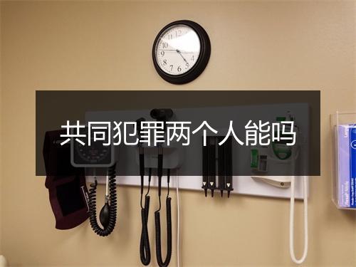 共同犯罪两个人能吗