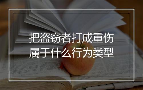 把盗窃者打成重伤属于什么行为类型