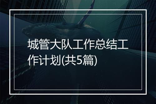 城管大队工作总结工作计划(共5篇)