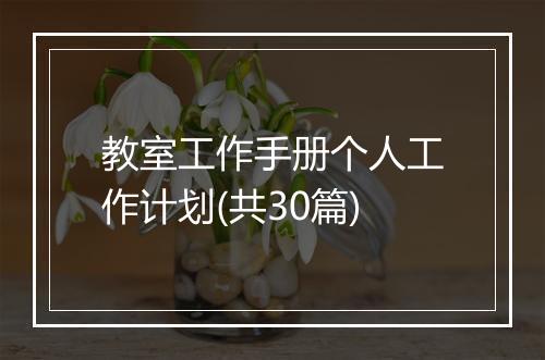 教室工作手册个人工作计划(共30篇)