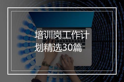 培训岗工作计划精选30篇