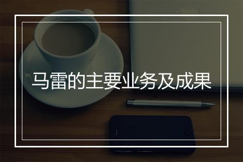 马雷的主要业务及成果