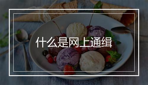 什么是网上通缉