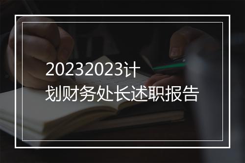 20232023计划财务处长述职报告