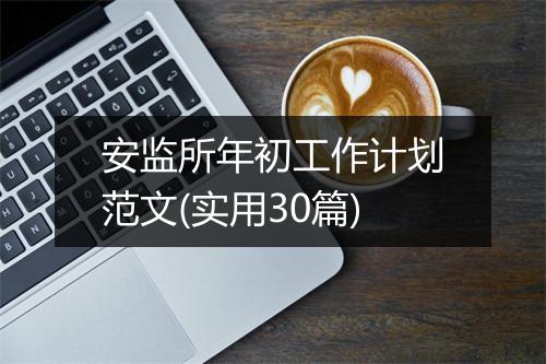 安监所年初工作计划范文(实用30篇)
