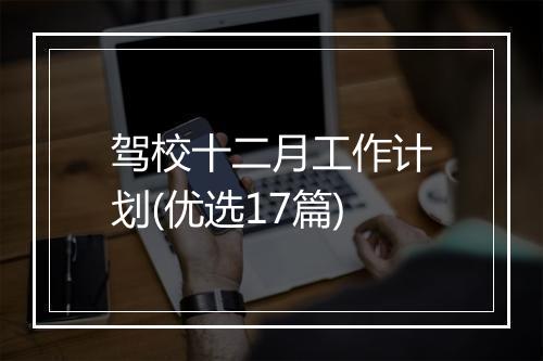 驾校十二月工作计划(优选17篇)