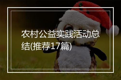 农村公益实践活动总结(推荐17篇)