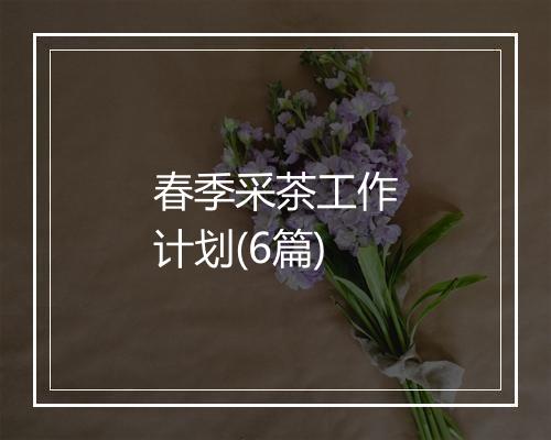 春季采茶工作计划(6篇)