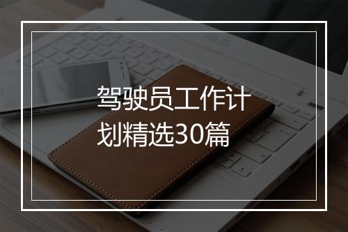 驾驶员工作计划精选30篇