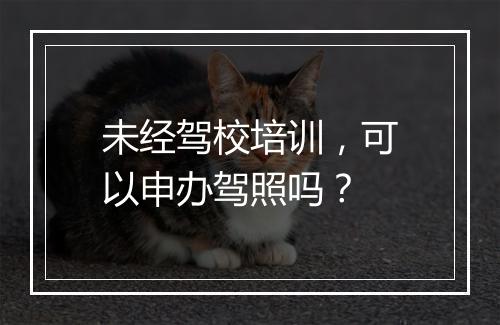 未经驾校培训，可以申办驾照吗？