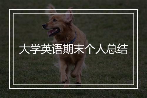 大学英语期末个人总结