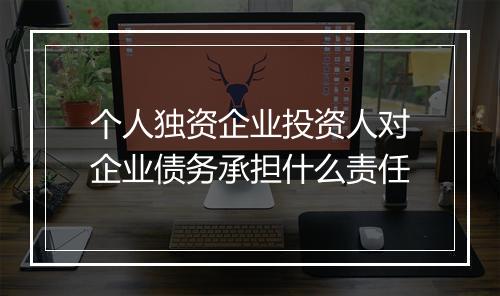 个人独资企业投资人对企业债务承担什么责任