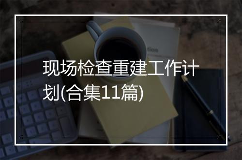 现场检查重建工作计划(合集11篇)