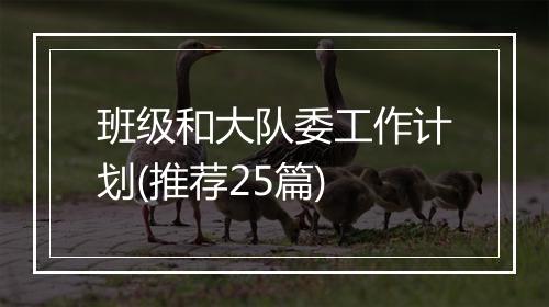 班级和大队委工作计划(推荐25篇)