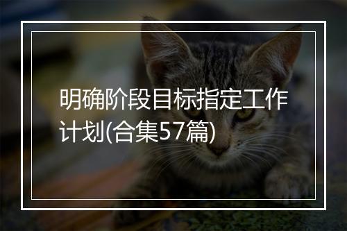 明确阶段目标指定工作计划(合集57篇)