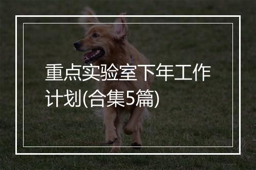 重点实验室下年工作计划(合集5篇)