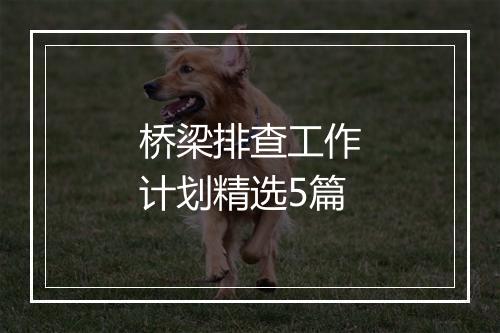 桥梁排查工作计划精选5篇