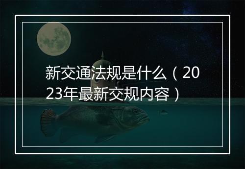 新交通法规是什么（2023年最新交规内容）