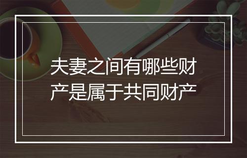 夫妻之间有哪些财产是属于共同财产