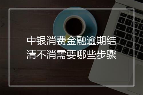 中银消费金融逾期结清不消需要哪些步骤