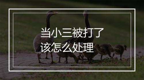 当小三被打了该怎么处理