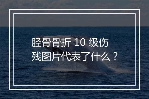 胫骨骨折 10 级伤残图片代表了什么？