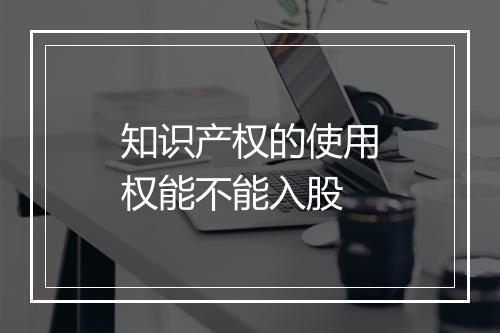 知识产权的使用权能不能入股