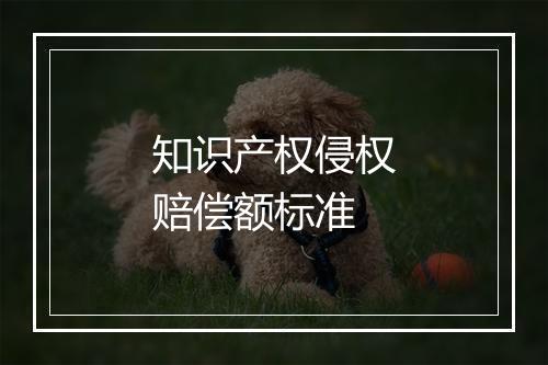 知识产权侵权赔偿额标准