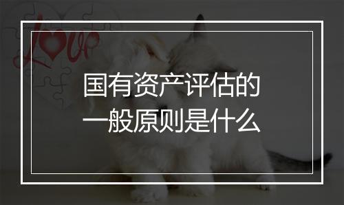 国有资产评估的一般原则是什么