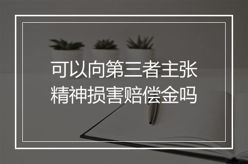 可以向第三者主张精神损害赔偿金吗