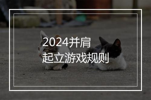 2024并肩起立游戏规则