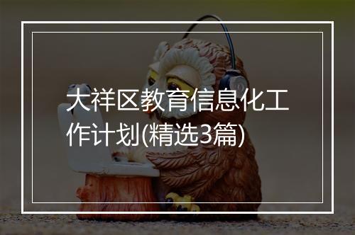 大祥区教育信息化工作计划(精选3篇)