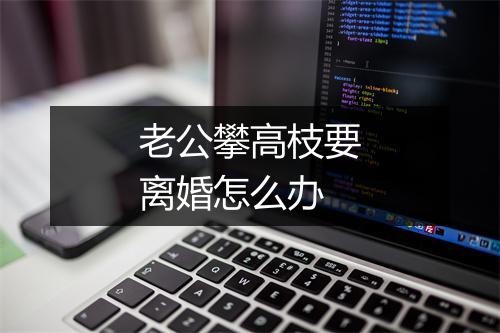 老公攀高枝要离婚怎么办