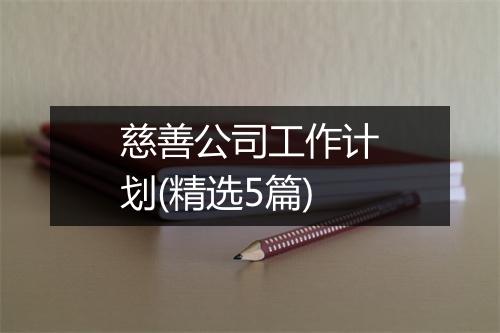 慈善公司工作计划(精选5篇)