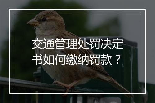 交通管理处罚决定书如何缴纳罚款？