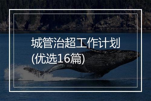 城管治超工作计划(优选16篇)