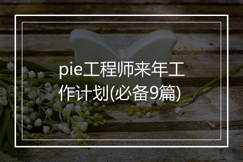 pie工程师来年工作计划(必备9篇)