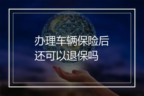 办理车辆保险后还可以退保吗