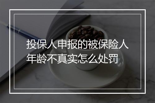 投保人申报的被保险人年龄不真实怎么处罚