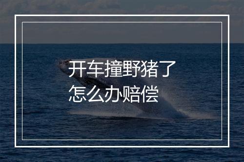 开车撞野猪了怎么办赔偿