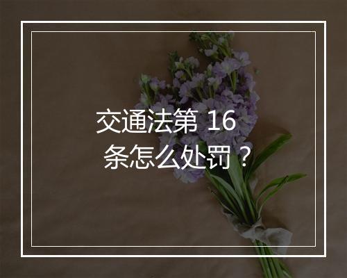 交通法第 16 条怎么处罚？