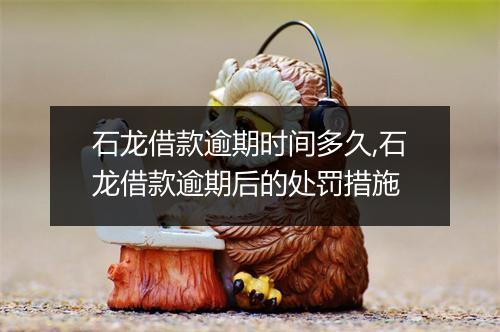 石龙借款逾期时间多久,石龙借款逾期后的处罚措施