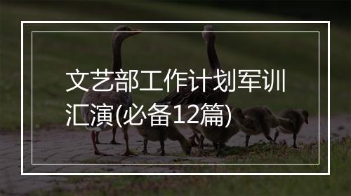 文艺部工作计划军训汇演(必备12篇)