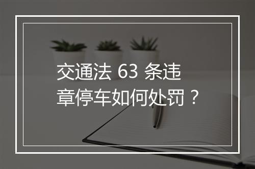 交通法 63 条违章停车如何处罚？