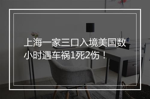 上海一家三口入境美国数小时遇车祸1死2伤！