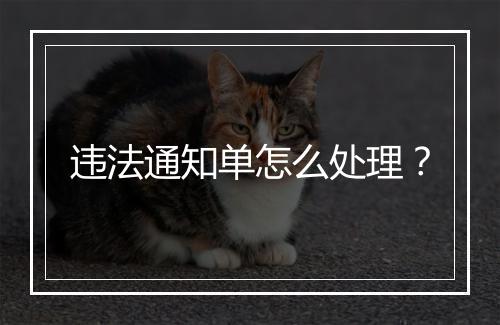 违法通知单怎么处理？