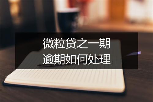 微粒贷之一期逾期如何处理