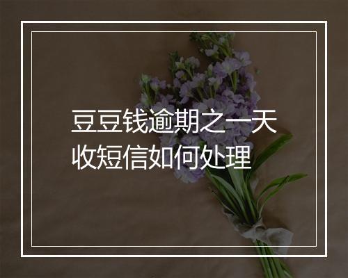 豆豆钱逾期之一天收短信如何处理